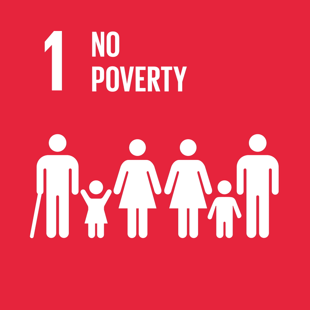 SDG 2