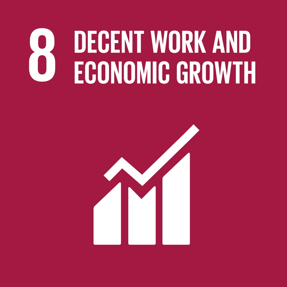 SDG 11